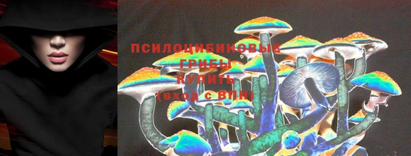 прущий лед Белокуриха