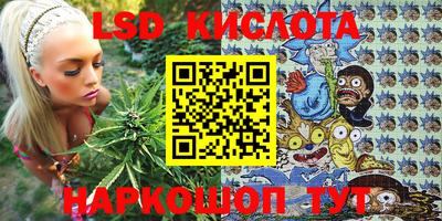 крисы Бийск
