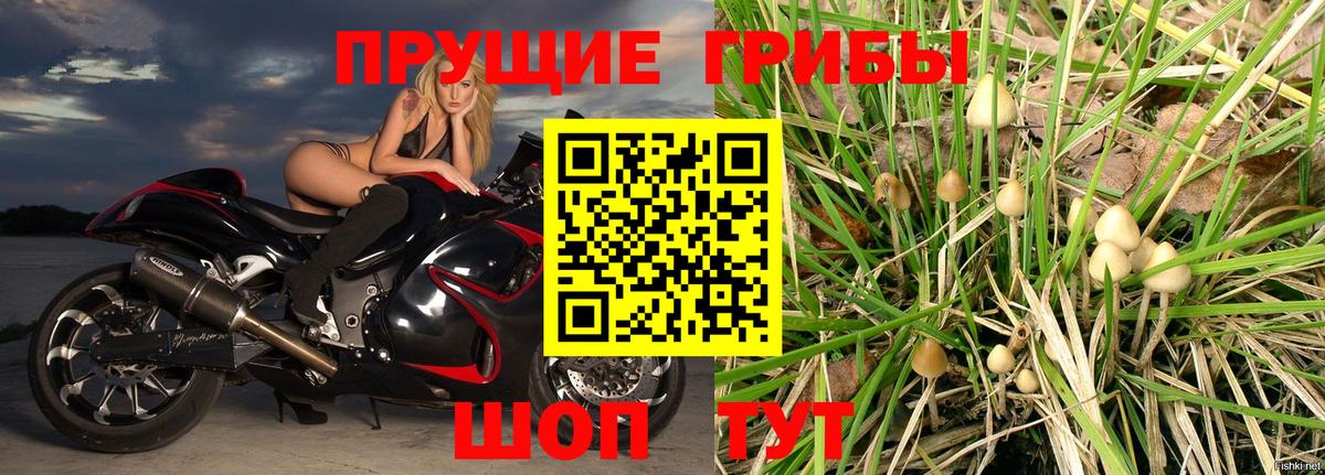 Галлюциногенные грибы GOLDEN TEACHER  Галлюциногенные грибы мухоморы  где купить наркотик  Вятские Поляны 